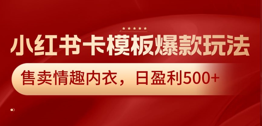 小红书卡模板爆款玩法，售卖情趣内衣，日盈利500+【揭秘】-灵动共创