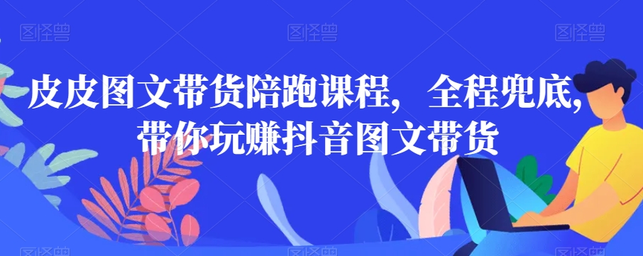 皮皮图文带货陪跑课程，全程兜底，带你玩赚抖音图文带货-灵动共创