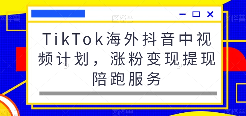 TikTok海外抖音中视频计划，涨粉变现提现陪跑服务-灵动共创