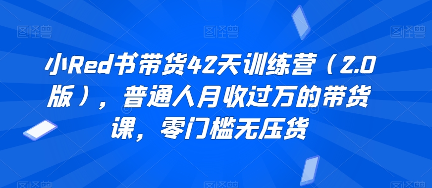 小Red书带货42天训练营（2.0版），普通人月收过万的带货课，零门槛无压货-灵动共创
