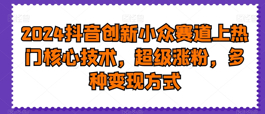 2024抖音创新小众赛道上热门核心技术，超级涨粉，多种变现方式【揭秘】-灵动共创