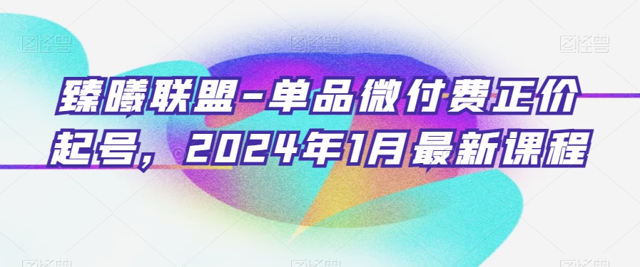 臻曦联盟-单品微付费正价起号，2024年1月最新课程-灵动共创