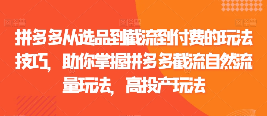 拼多多从选品到截流到付费的玩法技巧，助你掌握拼多多截流自然流量玩法，高投产玩法-灵动共创