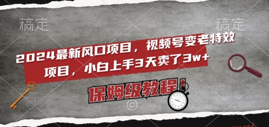 2024最新风口项目，视频号变老特效项目，电脑小白上手3天卖了3w+，保姆级教程【揭秘】-灵动共创