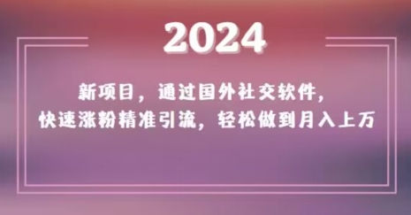 2024新项目，通过国外社交软件，快速涨粉精准引流，轻松做到月入上万【揭秘】-灵动共创