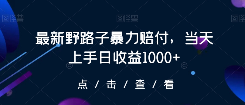 最新野路子暴力赔付，当天上手日收益1000+【仅揭秘】-灵动共创