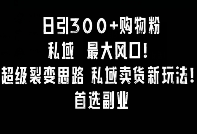 日引300+购物粉，超级裂变思路，私域卖货新玩法，小红书首选副业【揭秘】-灵动共创
