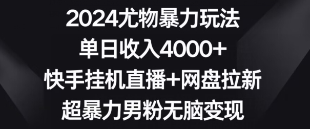 2024尤物暴力玩法，单日收入4000+，快手挂机直播+网盘拉新，超暴力男粉无脑变现【揭秘】-灵动共创