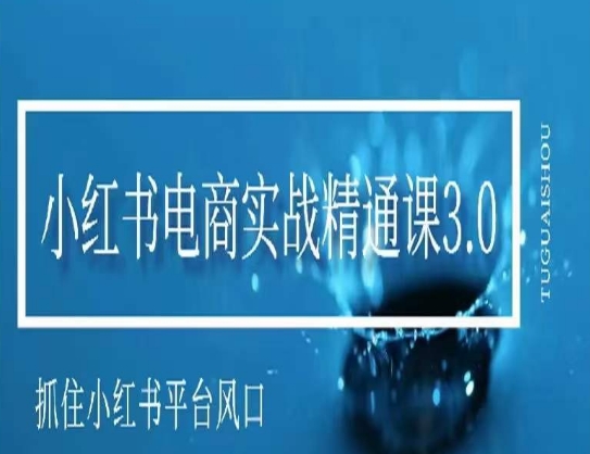 小红书电商实战精通课3.0，抓住小红书平台的风口，不错过有一个赚钱的机会-灵动共创