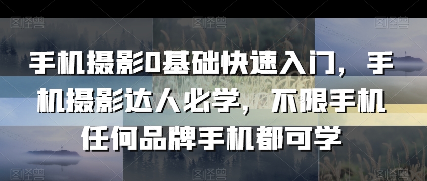 手机摄影0基础快速入门，手机摄影达人必学，不限手机任何品牌手机都可学-灵动共创