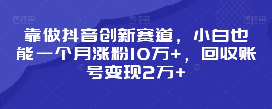 靠做抖音创新赛道，小白也能一个月涨粉10万+，回收账号变现2万+【揭秘】-灵动共创