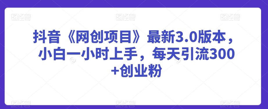 抖音《网创项目》最新3.0版本，小白一小时上手，每天引流300+创业粉【揭秘】-灵动共创