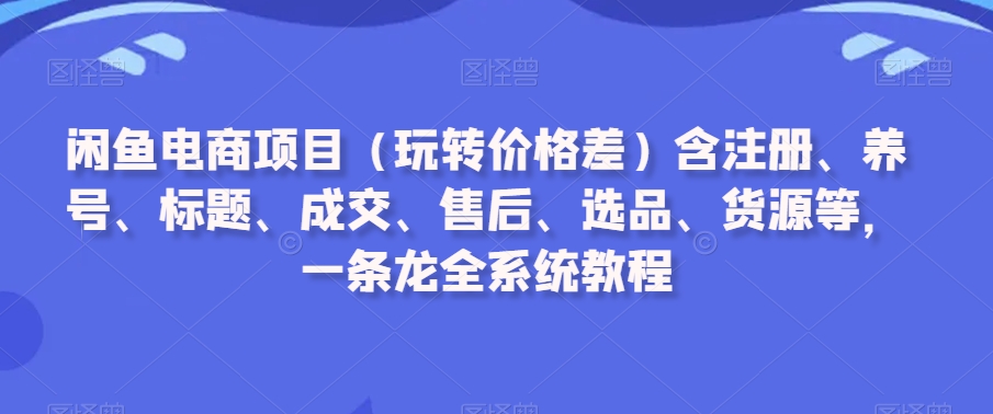 闲鱼电商项目（玩转价格差）含注册、养号、标题、成交、售后、选品、货源等，一条龙全系统教程-灵动共创