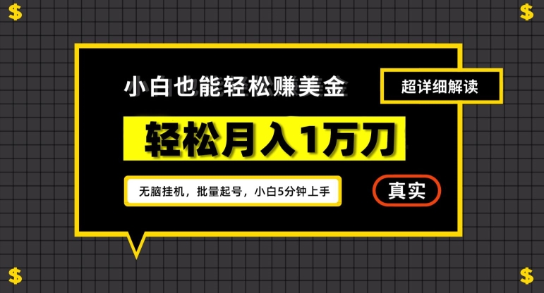谷歌看广告撸美金2.0，无脑挂机，多号操作，月入1万刀【揭秘】-灵动共创