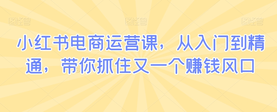小红书电商运营课，从入门到精通，带你抓住又一个赚钱风口-灵动共创