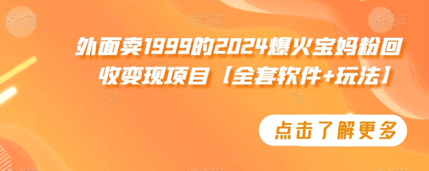 外面卖1999的2024爆火宝妈粉回收变现项目【全套软件+玩法】【揭秘】-灵动共创