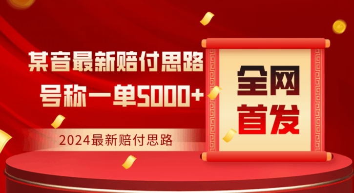 全网首发，2024最新抖音赔付项目，号称一单5000+保姆级拆解【仅揭秘】-灵动共创
