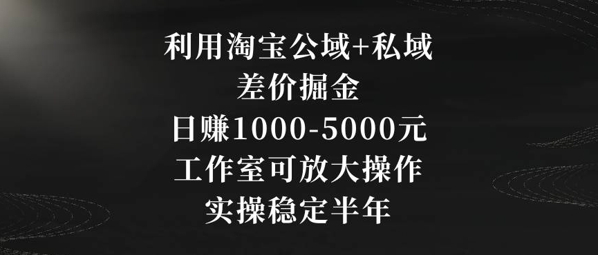 利用淘宝公域+私域差价掘金，日赚1000-5000元，工作室可放大操作，实操稳定半年【揭秘】-灵动共创