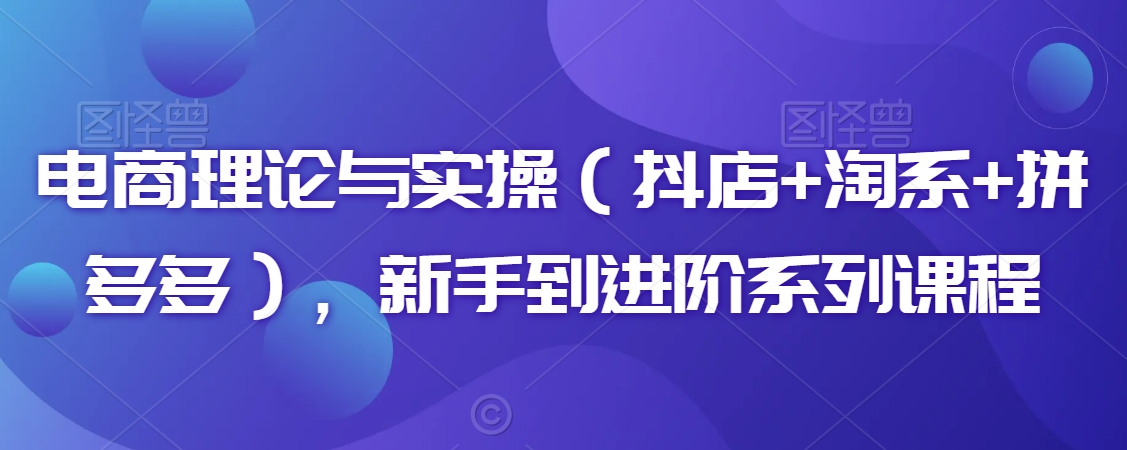 电商理论与实操（抖店+淘系+拼多多），新手到进阶系列课程-灵动共创