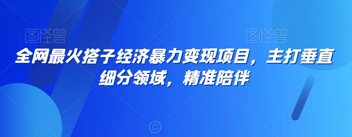 全网最火搭子经济暴力变现项目，主打垂直细分领域，精准陪伴【揭秘】-灵动共创