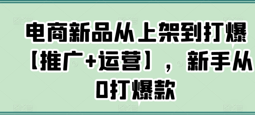电商新品从上架到打爆【推广+运营】，新手从0打爆款-灵动共创