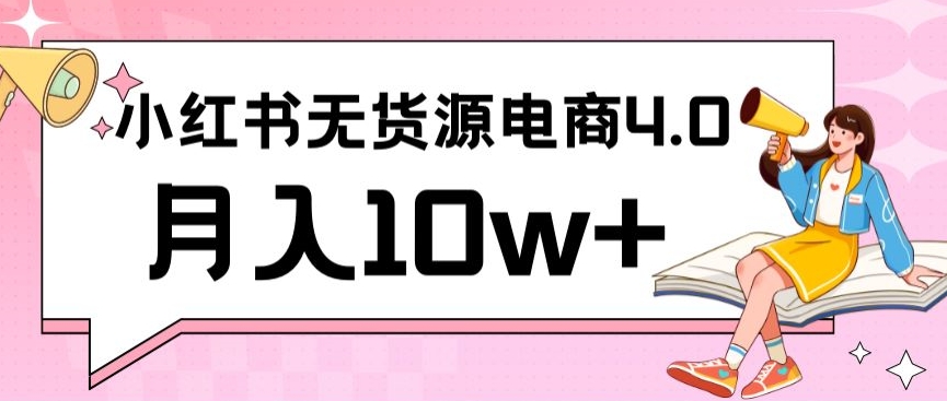 小红书新电商实战，无货源实操从0到1月入10w+联合抖音放大收益【揭秘】-灵动共创