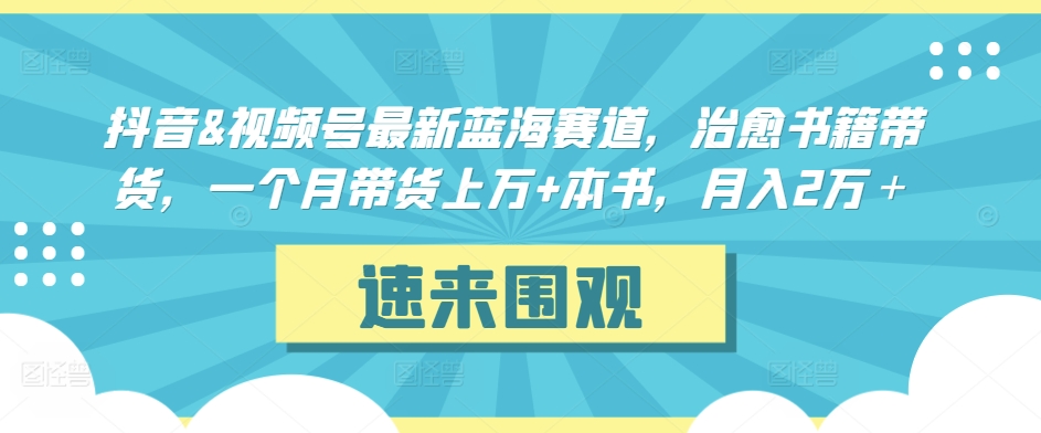 抖音&视频号最新蓝海赛道，治愈书籍带货，一个月带货上万+本书，月入2万＋【揭秘】-灵动共创