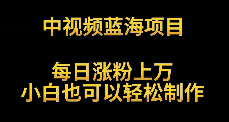 中视频蓝海项目，解读英雄人物生平，每日涨粉上万，小白也可以轻松制作，月入过万不是梦【揭秘】-灵动共创