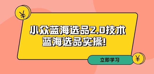 拼多多培训第33期：小众蓝海选品2.0技术-蓝海选品实操！-灵动共创