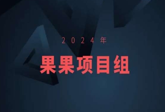 2024年果果项目组项目合集-果果最新项目-灵动共创