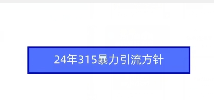 24年315暴力引流方针-灵动共创