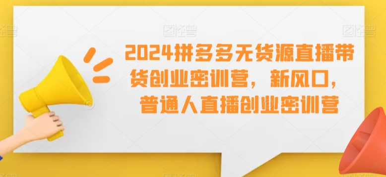 2024拼多多无货源直播带货创业密训营，新风口，普通人直播创业密训营-灵动共创