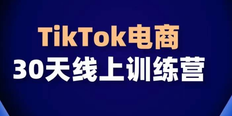 TikTok电商带货30天线上课，不可错过的全球流量洼地！-灵动共创