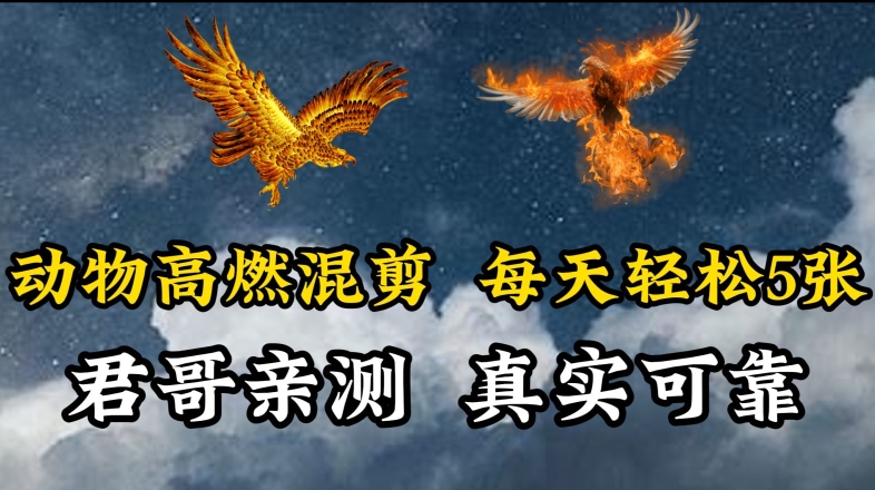 动物超燃混剪，每天轻松5张，剪辑简单大家爱看【揭秘】-灵动共创