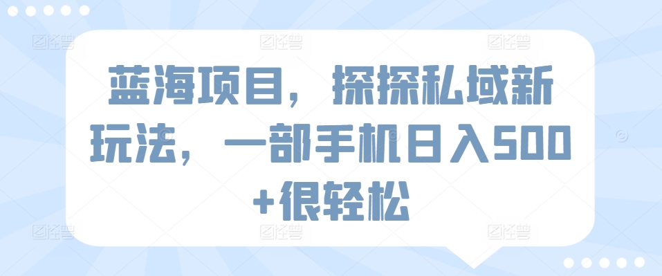蓝海项目，探探私域新玩法，一部手机日入500+很轻松【揭秘】-灵动共创