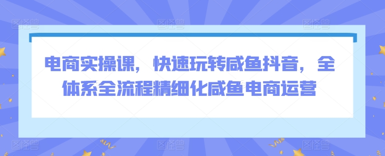 电商实操课，快速玩转咸鱼抖音，全体系全流程精细化咸鱼电商运营-灵动共创