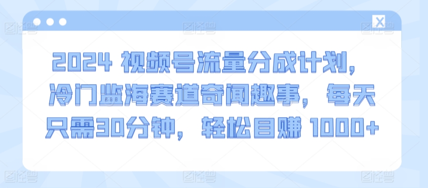 2024视频号流量分成计划，冷门监海赛道奇闻趣事，每天只需30分钟，轻松目赚 1000+【揭秘】-灵动共创
