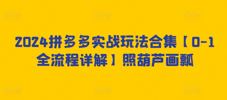 2024拼多多实战玩法合集【0-1全流程详解】照葫芦画瓢-灵动共创
