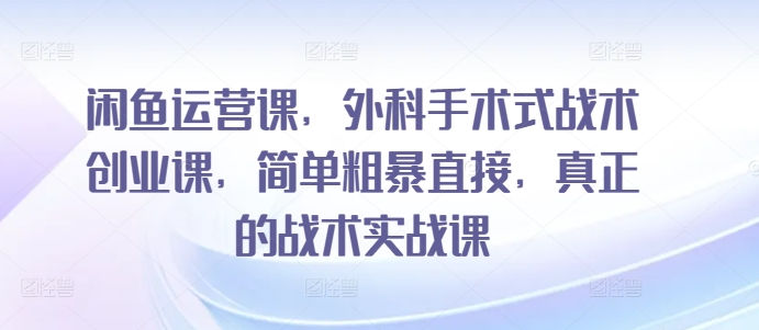 闲鱼运营课，外科手术式战术创业课，简单粗暴直接，真正的战术实战课-灵动共创