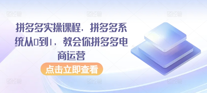 拼多多实操课程，拼多多系统从0到1，教会你拼多多电商运营-灵动共创