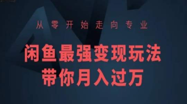 从零开始走向专业，闲鱼最强变现玩法带你月入过万-灵动共创
