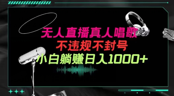 抖音24小时无人直播音乐，不违规，不封号纯撸音浪，小白实操当天日入1000+【揭秘】-灵动共创