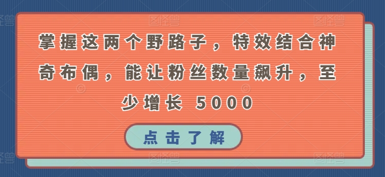 掌握这两个野路子，特效结合神奇布偶，能让粉丝数量飙升，至少增长 5000【揭秘】-灵动共创