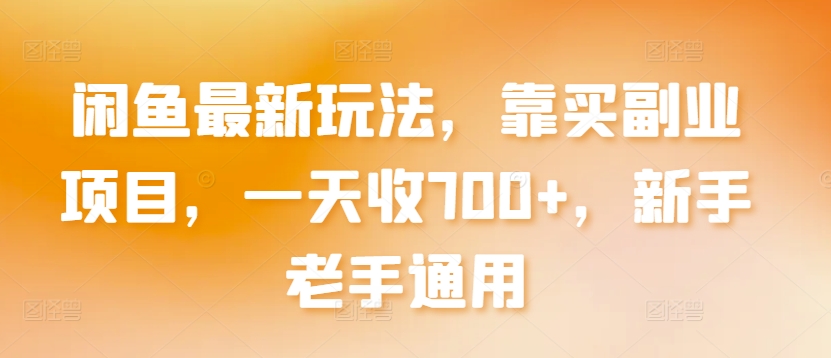闲鱼最新玩法，靠买副业项目，一天收700+，新手老手通用【揭秘】-灵动共创