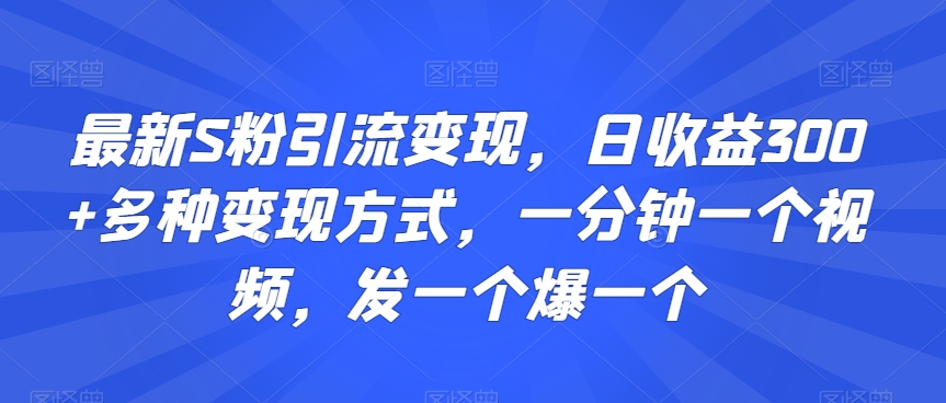 最新S粉引流变现，日收益300+多种变现方式，一分钟一个视频，发一个爆一个【揭秘】-灵动共创