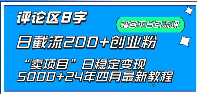 抖音评论区8字日截流200+创业粉 “卖项目”日稳定变现5000+【揭秘】-灵动共创