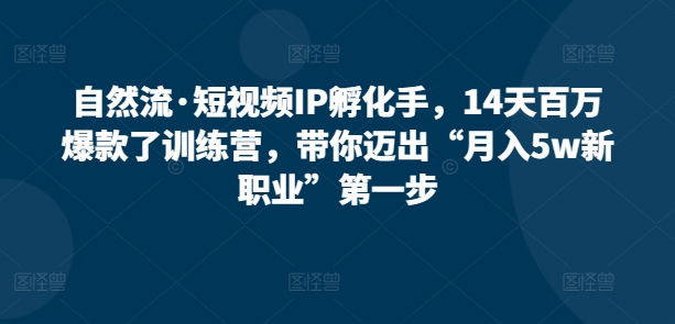自然流·短视频IP孵化手，14天百万爆款了训练营，带你迈出“月入5w新职业”第一步-灵动共创