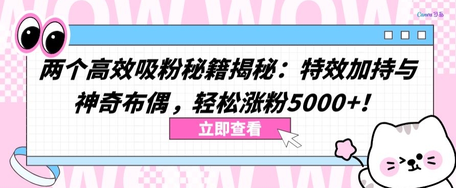 两个高效吸粉秘籍揭秘：特效加持与神奇布偶，轻松涨粉5000+【揭秘】-灵动共创