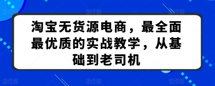 淘宝无货源电商，最全面最优质的实战教学，从基础到老司机-灵动共创