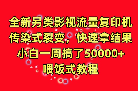 全新另类影视流量复印机，传染式裂变，快速拿结果，小白一周搞了50000+，喂饭式教程【揭秘】-灵动共创